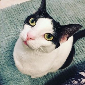 Meet your Posher, Anna